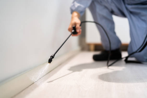 Licensed Rodent Control service in Chester, NY - Nex Pest Control
