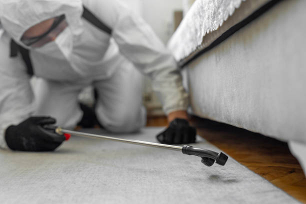 Professional Rodent Control technician working in Chester, NY