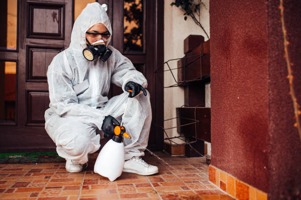 Reliable Rodent Control contractor in Chester, NY by Nex Pest Control